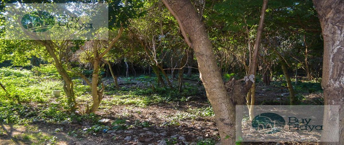 Foto de terreno habitacional en venta en  , cruz de servicios, solidaridad, quintana roo, 29888222 No. 05