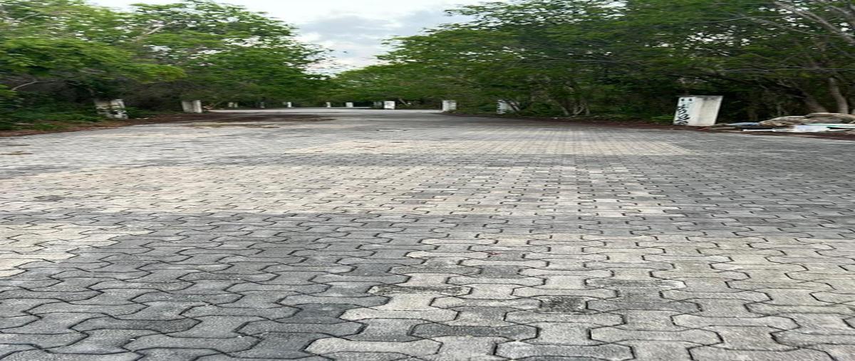 Foto de terreno habitacional en venta en  , cruz de servicios, solidaridad, quintana roo, 30964809 No. 05