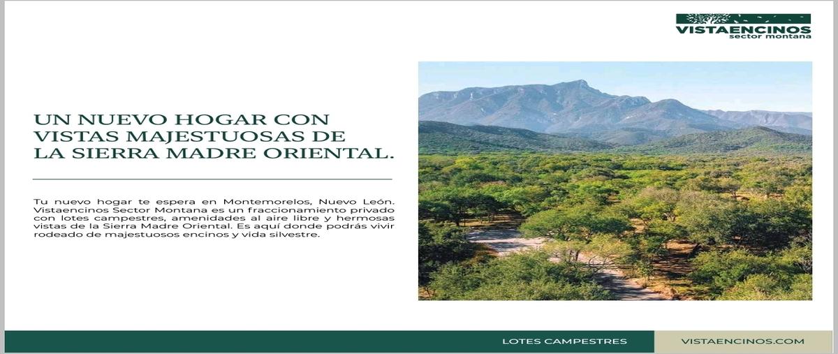 Foto de terreno habitacional en venta en  , cruz verde, montemorelos, nuevo león, 20637235 No. 03