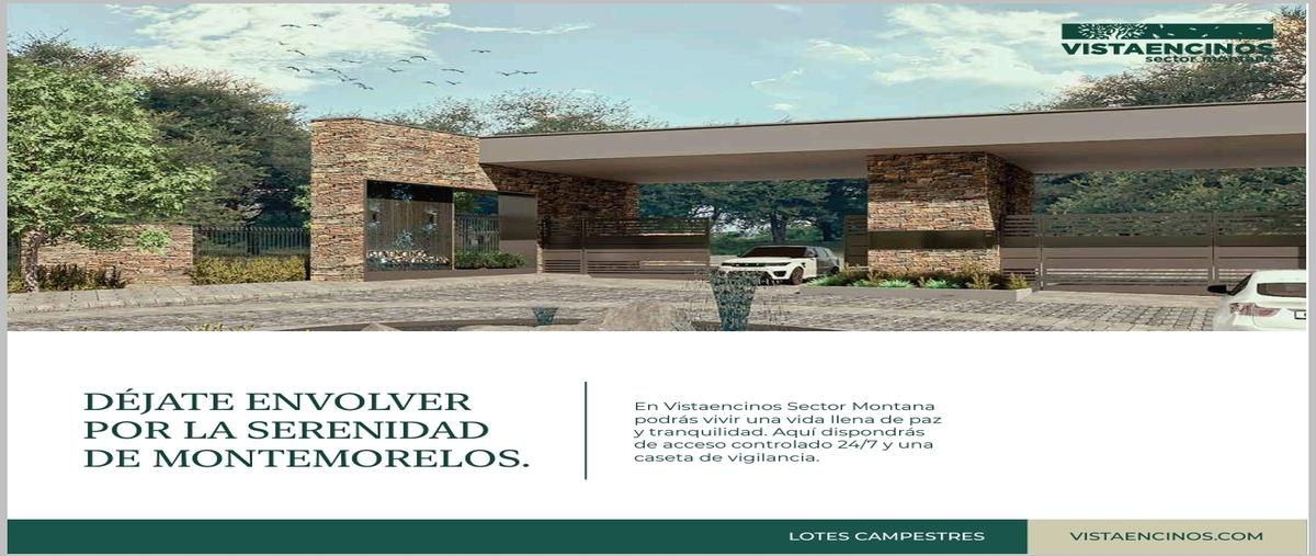 Foto de terreno habitacional en venta en  , cruz verde, montemorelos, nuevo león, 20637235 No. 04