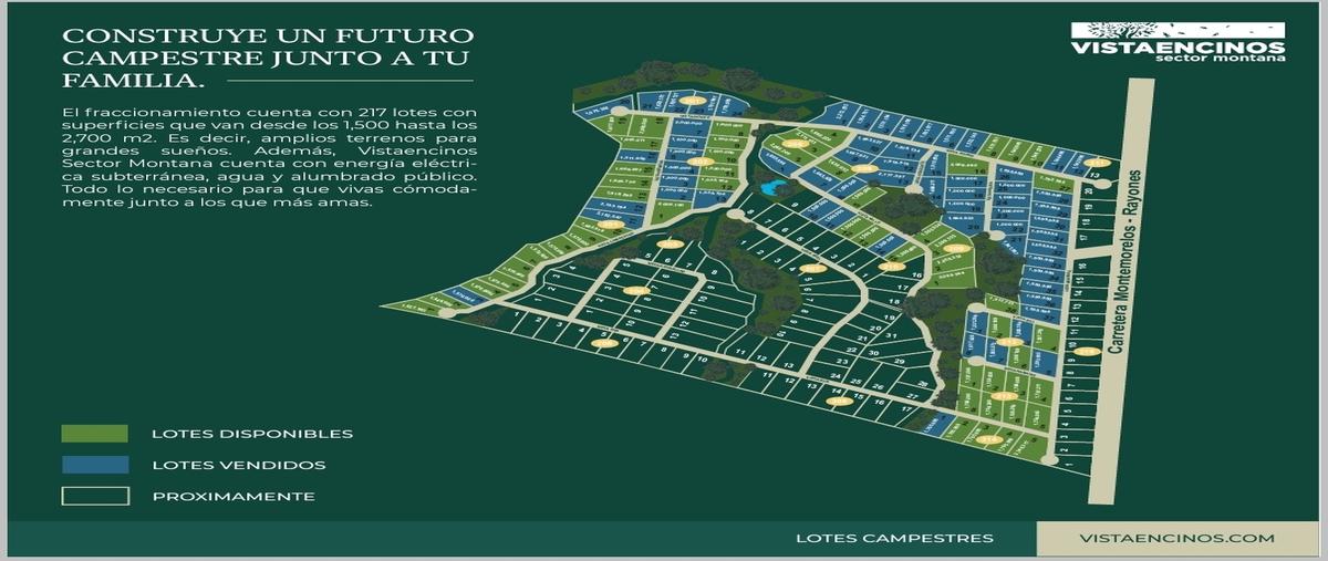 Foto de terreno habitacional en venta en  , cruz verde, montemorelos, nuevo león, 20637235 No. 05