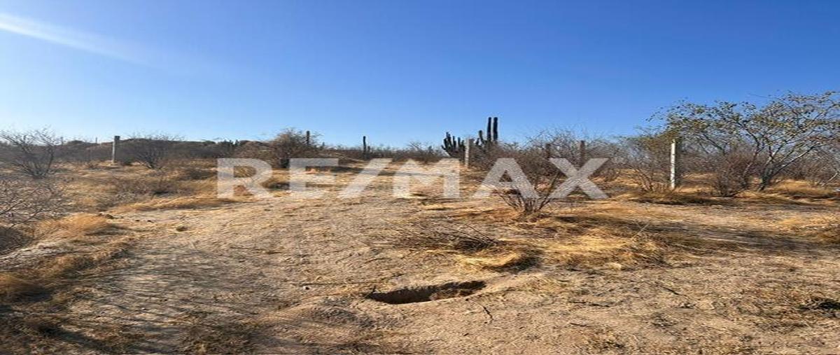 Foto de terreno comercial en csl palma coco plumoso, cabo san lucas , leonardo rodríguez gastélum, los cabos, baja california sur, 28065117 foto 02 Foto de terreno comercial en venta en csl palma coco plumoso, cabo san lucas , leonardo rodríguez gastélum, los cabos, baja california sur, 28065117 No. 02