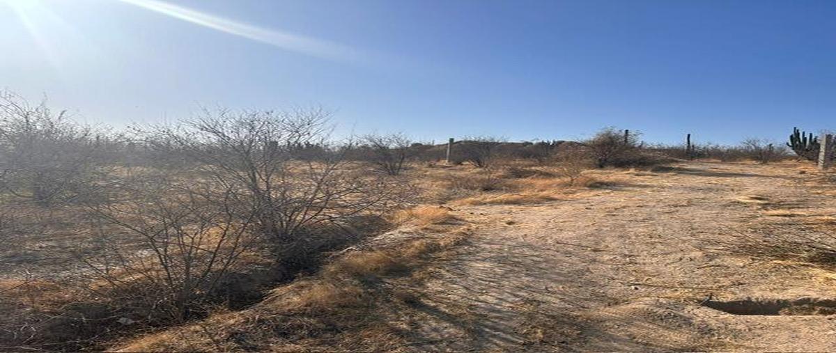Foto de terreno comercial en venta en csl palma coco plumoso, cabo san lucas , leonardo rodríguez gastélum, los cabos, baja california sur, 28065117 No. 03