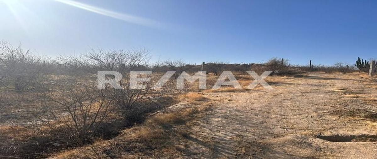 Foto de terreno comercial en csl palma coco plumoso, cabo san lucas , leonardo rodríguez gastélum, los cabos, baja california sur, 28065117 foto 03 Foto de terreno comercial en venta en csl palma coco plumoso, cabo san lucas , leonardo rodríguez gastélum, los cabos, baja california sur, 28065117 No. 03