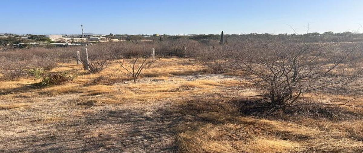 Foto de terreno comercial en venta en csl palma coco plumoso, cabo san lucas , leonardo rodríguez gastélum, los cabos, baja california sur, 28065117 No. 04