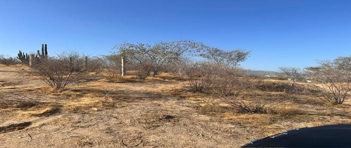Foto de terreno comercial en venta en csl palma coco plumoso, cabo san lucas , leonardo rodríguez gastélum, los cabos, baja california sur, 28065117 No. 05