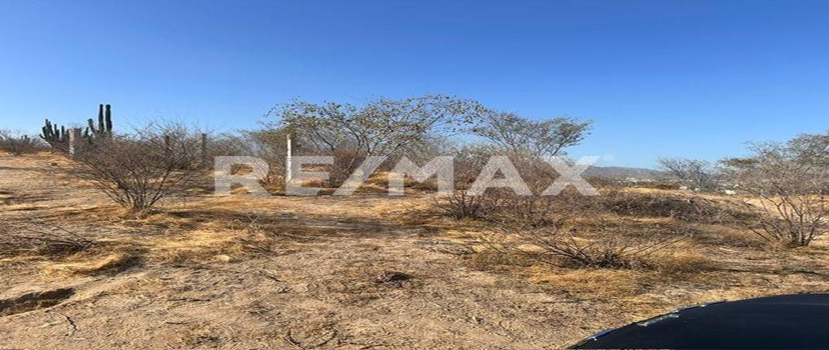 Foto de terreno comercial en csl palma coco plumoso, cabo san lucas , leonardo rodríguez gastélum, los cabos, baja california sur, 28065117 foto 05 Foto de terreno comercial en venta en csl palma coco plumoso, cabo san lucas , leonardo rodríguez gastélum, los cabos, baja california sur, 28065117 No. 05
