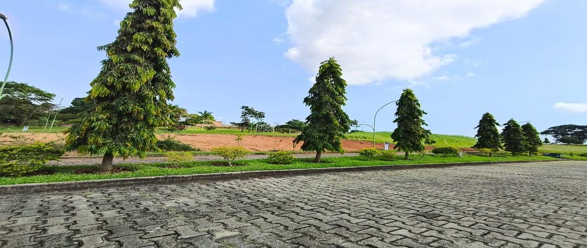 Foto de terreno habitacional en venta en ctotexcuyapan , lomas del tacana, tapachula, chiapas, 0 No. 03