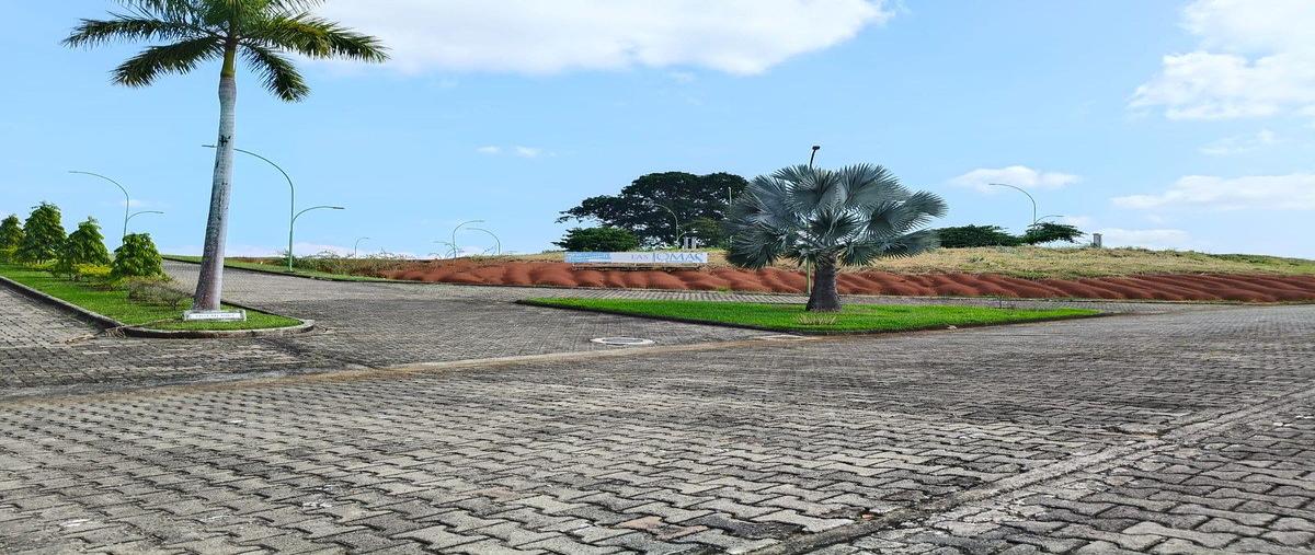 Foto de terreno habitacional en venta en ctotexcuyapan , lomas del tacana, tapachula, chiapas, 0 No. 04