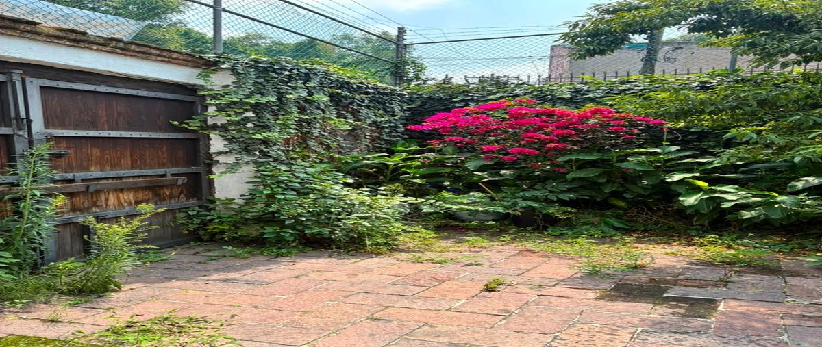 Foto de local en renta en  , cuadrante de san francisco, coyoacán, df / cdmx, 0 No. 04