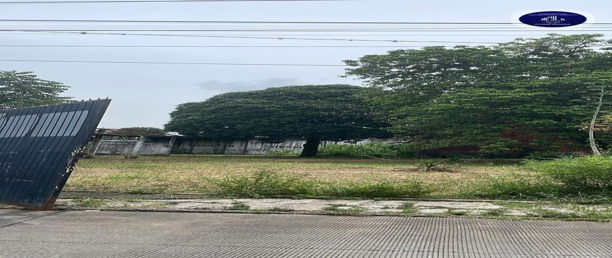 Foto de terreno habitacional en renta en cuadras del boulevard córdoba-peñuela , santa cruz buenavista, córdoba, veracruz de ignacio de la llave, 29752333 No. 03