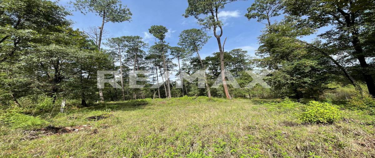 Foto de terreno habitacional en cuadrilla de dolores , cuadrilla de dolores, valle de bravo, méxico, 25037366 foto 02 Foto de terreno habitacional en venta en cuadrilla de dolores , cuadrilla de dolores, valle de bravo, méxico, 25037366 No. 02