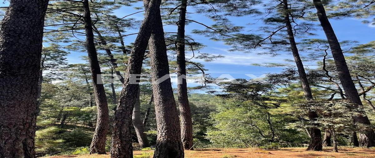 Foto de terreno habitacional en cuadrilla de dolores , cuadrilla de dolores, valle de bravo, méxico, 25037366 foto 04 Foto de terreno habitacional en venta en cuadrilla de dolores , cuadrilla de dolores, valle de bravo, méxico, 25037366 No. 04