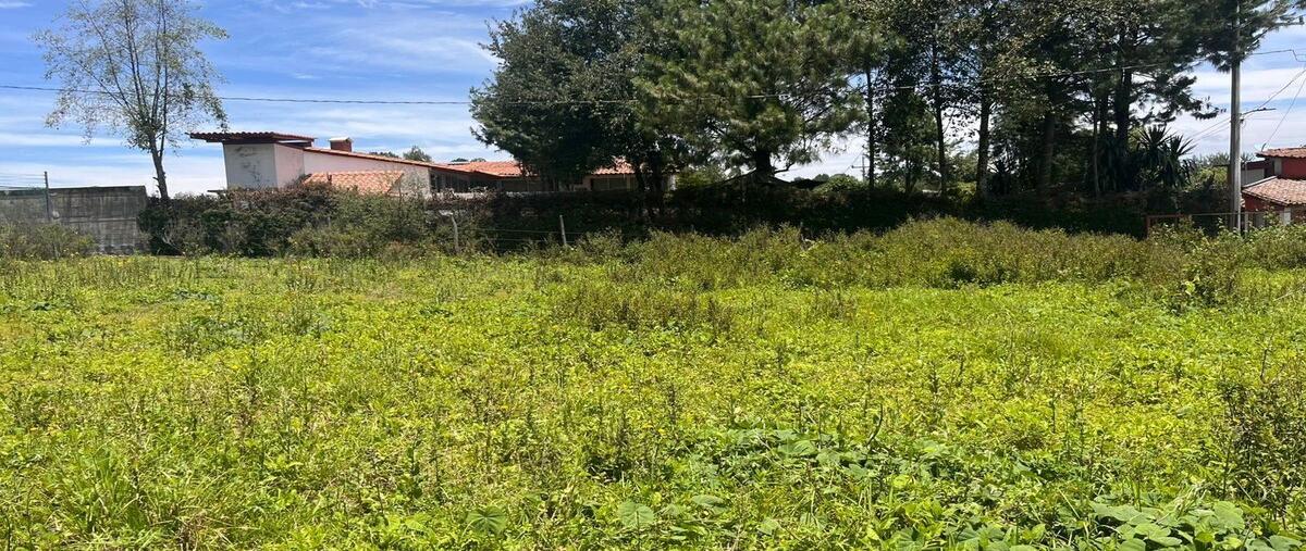 Foto de terreno habitacional en venta en cuadrilla de dolores , cuadrilla de dolores, valle de bravo, méxico, 30174364 No. 04