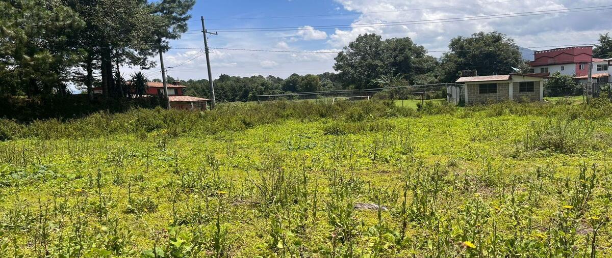 Foto de terreno habitacional en venta en cuadrilla de dolores , cuadrilla de dolores, valle de bravo, méxico, 30174364 No. 05