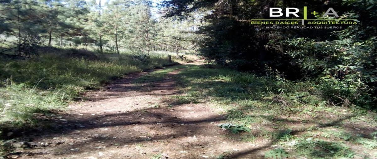 Foto de terreno habitacional en , cuadrilla de dolores, valle de bravo, méxico, 25946682 foto 01 Foto de terreno habitacional en venta en , cuadrilla de dolores, valle de bravo, méxico, 25946682 No. 01