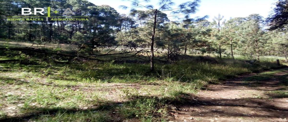 Foto de terreno habitacional en , cuadrilla de dolores, valle de bravo, méxico, 25946682 foto 02 Foto de terreno habitacional en venta en , cuadrilla de dolores, valle de bravo, méxico, 25946682 No. 02