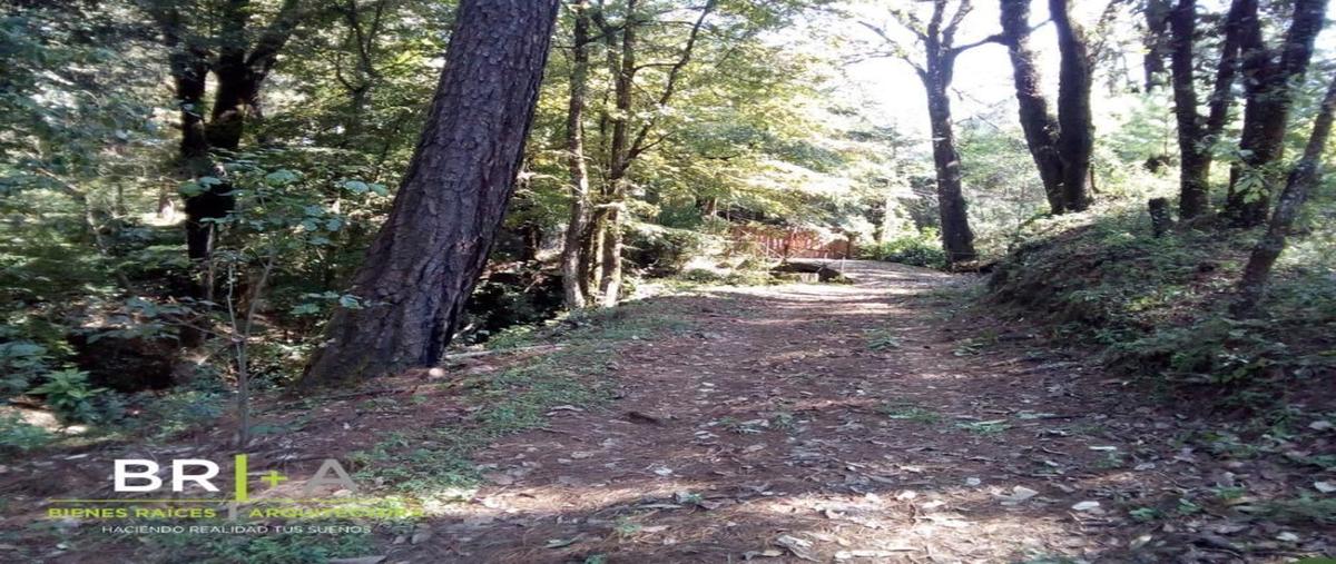 Foto de terreno habitacional en , cuadrilla de dolores, valle de bravo, méxico, 25946682 foto 03 Foto de terreno habitacional en venta en , cuadrilla de dolores, valle de bravo, méxico, 25946682 No. 03