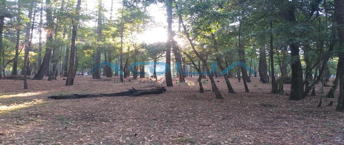 Foto de terreno habitacional en venta en  , cuadrilla de dolores, valle de bravo, méxico, 26255152 No. 05