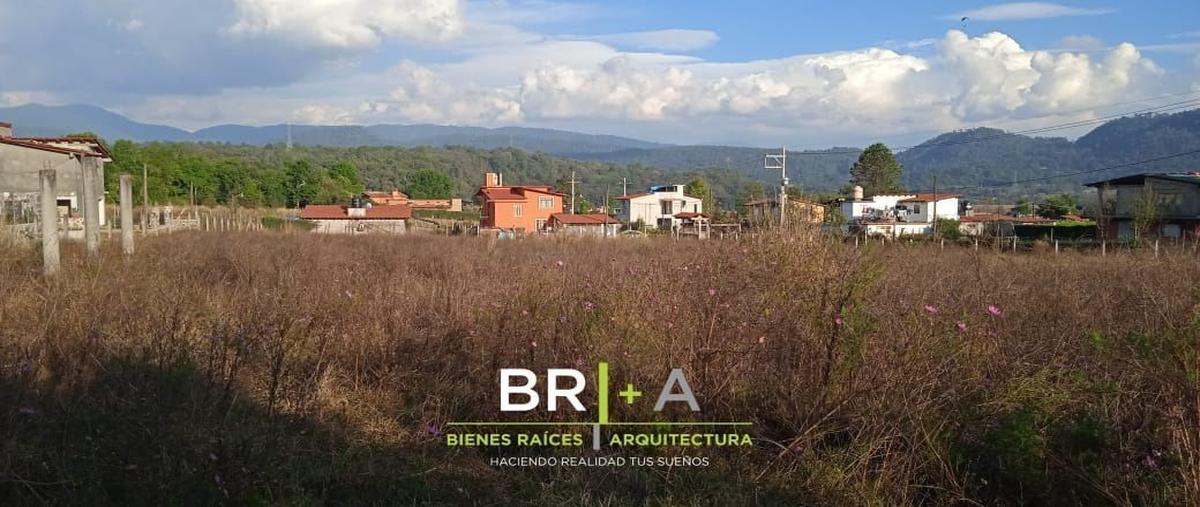 Foto de terreno habitacional en venta en  , cuadrilla de dolores, valle de bravo, méxico, 26271036 No. 04