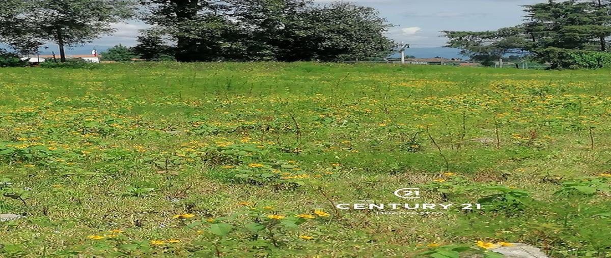 Foto de terreno habitacional en venta en  , cuadrilla de dolores, valle de bravo, méxico, 28193186 No. 04