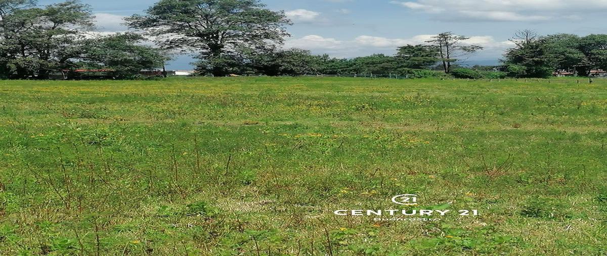 Foto de terreno habitacional en venta en  , cuadrilla de dolores, valle de bravo, méxico, 28193186 No. 05