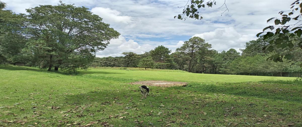 Foto de terreno habitacional en venta en  , cuadrilla de dolores, valle de bravo, méxico, 0 No. 04