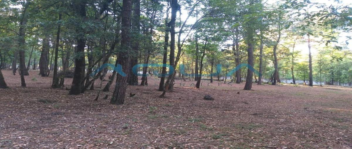 Foto de terreno habitacional en venta en  , cuadrilla de dolores, valle de bravo, méxico, 0 No. 04