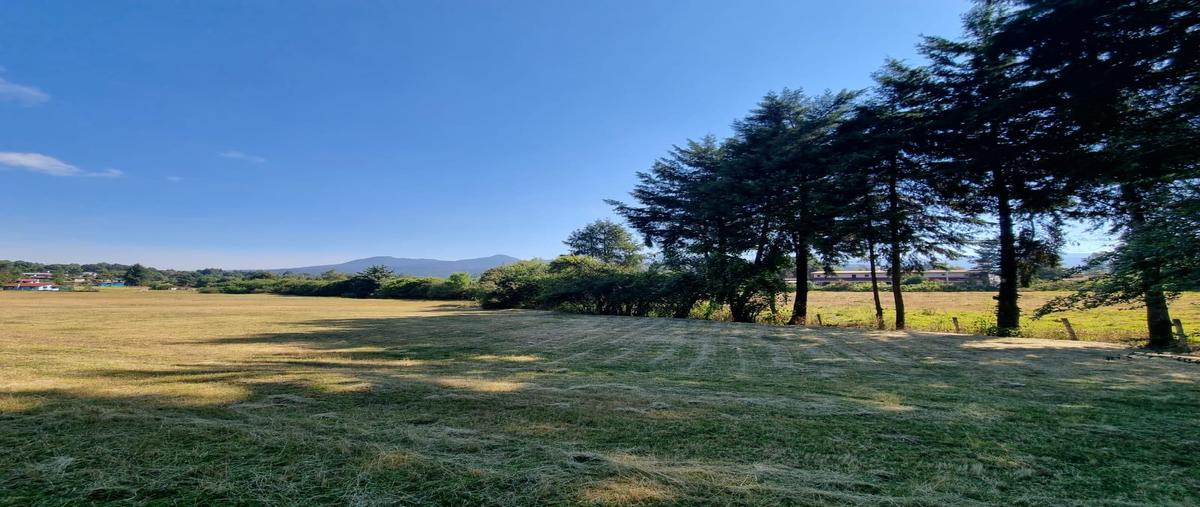 Foto de terreno habitacional en , cuadrilla de dolores, valle de bravo, méxico, 0 foto 02 Foto de terreno habitacional en venta en , cuadrilla de dolores, valle de bravo, méxico, 0 No. 02