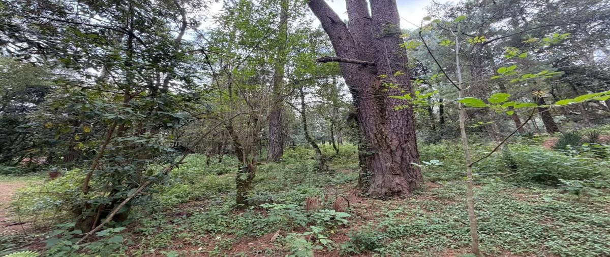 Foto de terreno habitacional en venta en  , cuadrilla de dolores, valle de bravo, méxico, 0 No. 03
