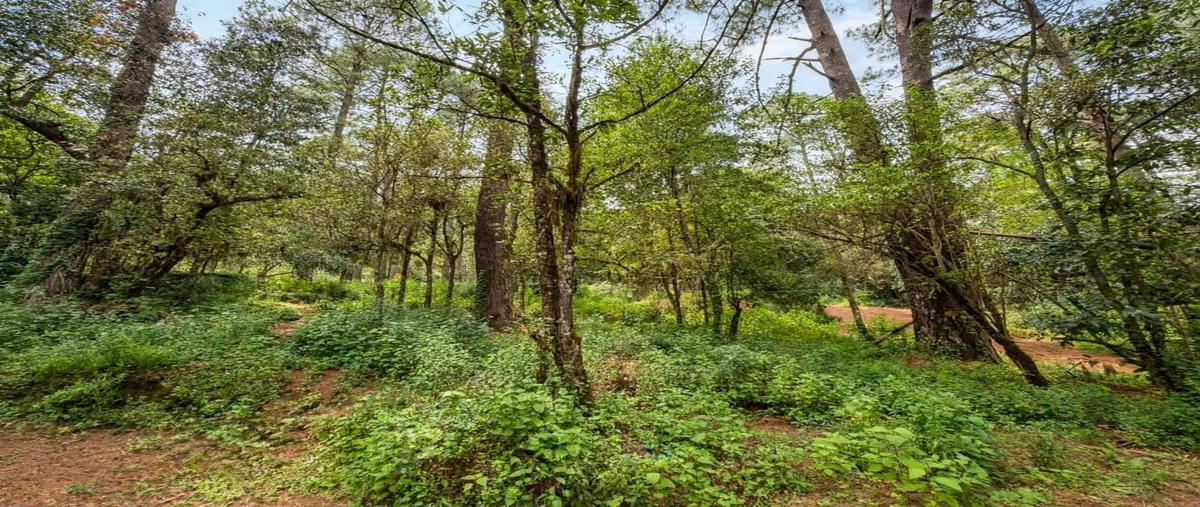 Foto de terreno habitacional en venta en  , cuadrilla de dolores, valle de bravo, méxico, 0 No. 05