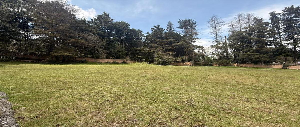 Foto de terreno habitacional en venta en cuadrilla de dolores , valle de bravo, valle de bravo, méxico, 0 No. 03