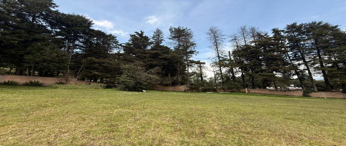 Foto de terreno habitacional en venta en cuadrilla de dolores , valle de bravo, valle de bravo, méxico, 0 No. 05