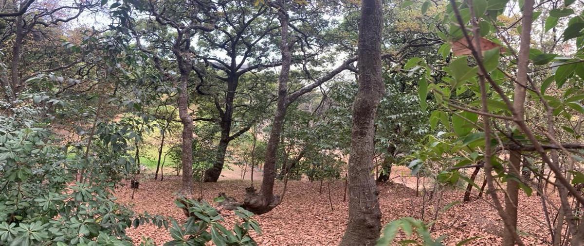 Foto de terreno habitacional en venta en cuajimalpa, cuajimalpa de morelos, ciudad de méxico, 05600 , san mateo tlaltenango, cuajimalpa de morelos, df / cdmx, 0 No. 04