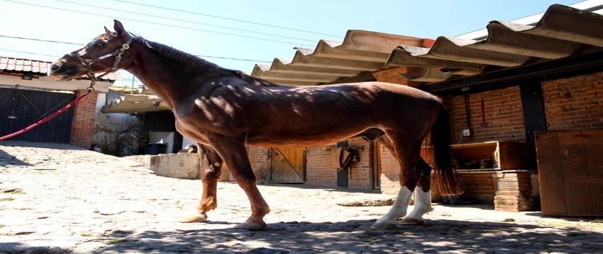 Foto de rancho en venta en  , cuajimalpa, cuajimalpa de morelos, df / cdmx, 0 No. 05
