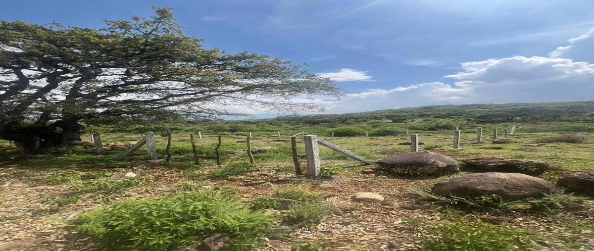 Foto de terreno habitacional en venta en  , cuanajillo del toro, morelia, michoacán de ocampo, 0 No. 05