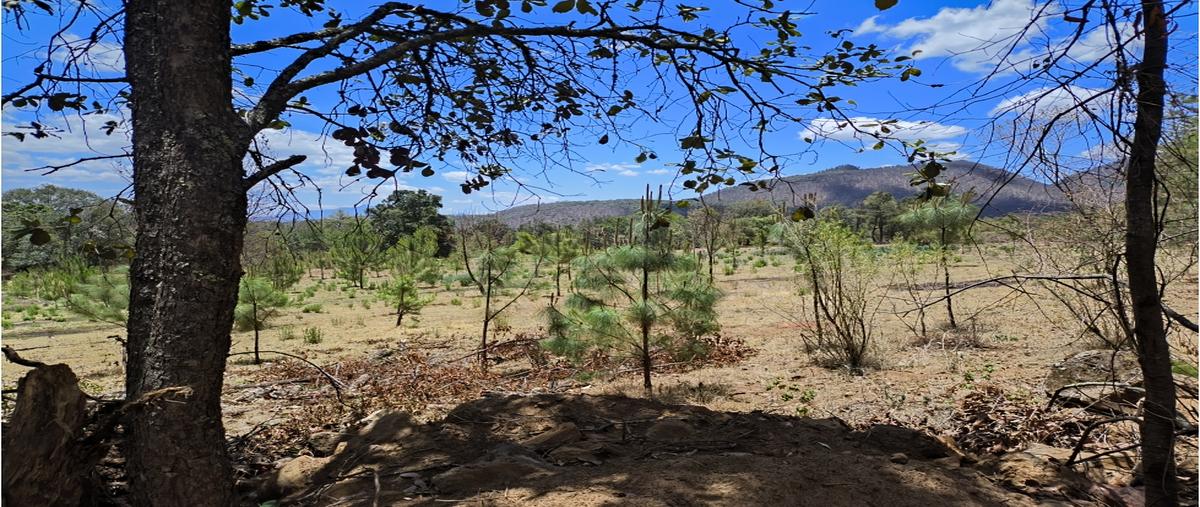 Foto de terreno habitacional en , cuanajo, pátzcuaro, michoacán de ocampo, 0 foto 03 Foto de terreno habitacional en venta en , cuanajo, pátzcuaro, michoacán de ocampo, 0 No. 03