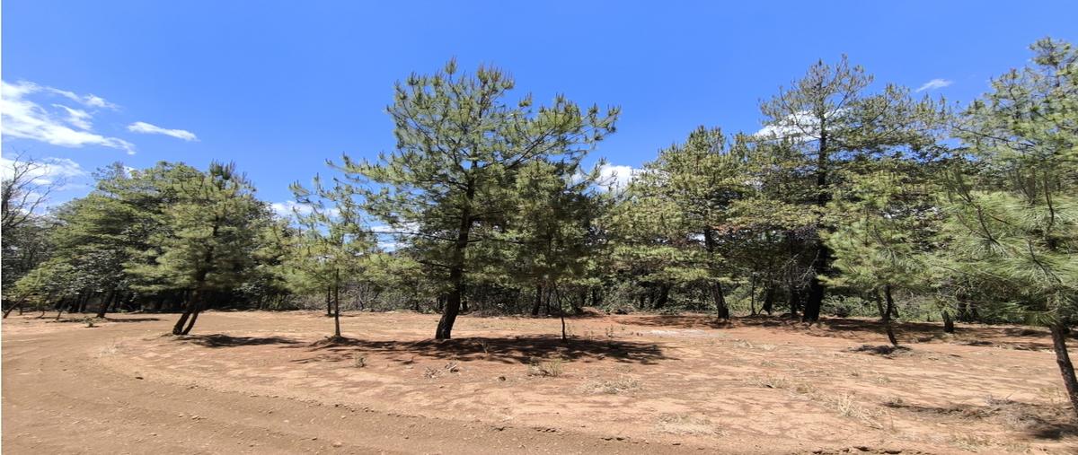 Foto de terreno habitacional en , cuanajo, pátzcuaro, michoacán de ocampo, 0 foto 01 Foto de terreno habitacional en venta en , cuanajo, pátzcuaro, michoacán de ocampo, 0 No. 01