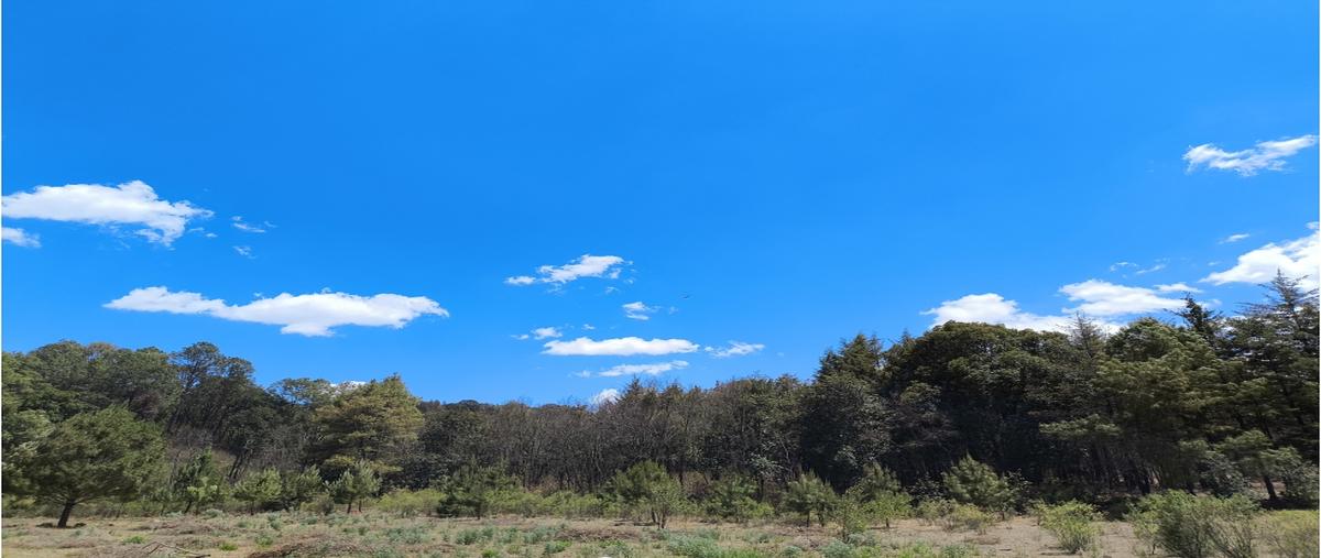 Foto de terreno habitacional en venta en  , cuanajo, pátzcuaro, michoacán de ocampo, 0 No. 03