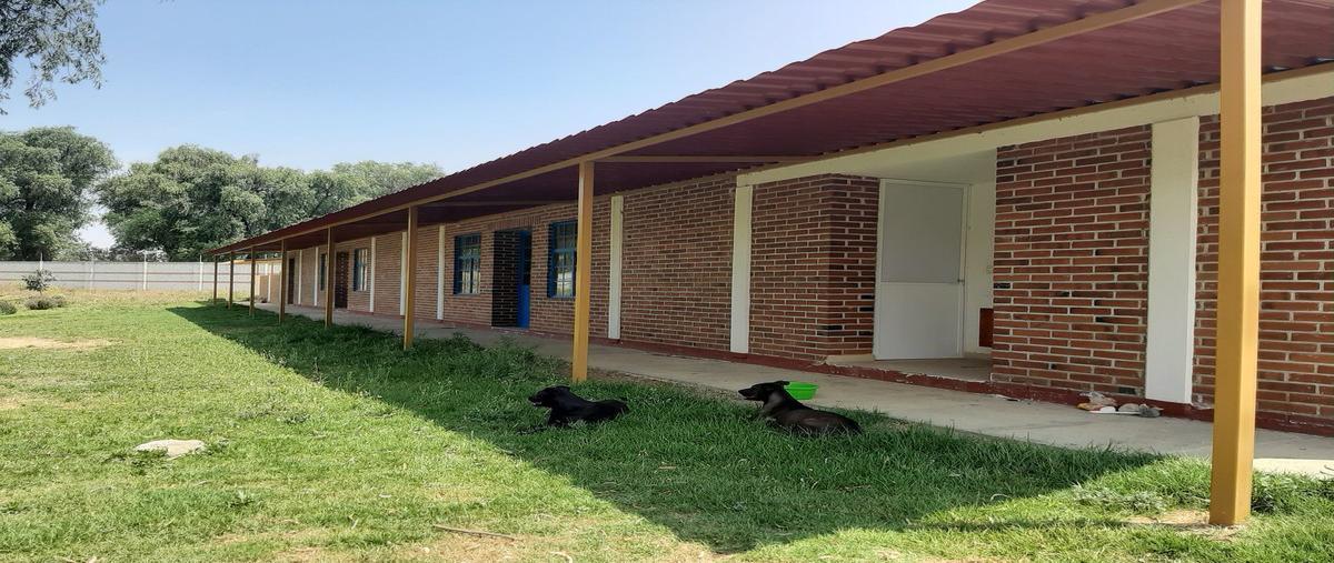 Foto de terreno habitacional en venta en cuanala , santa maría zacatepec, juan c. bonilla, puebla, 19977669 No. 04
