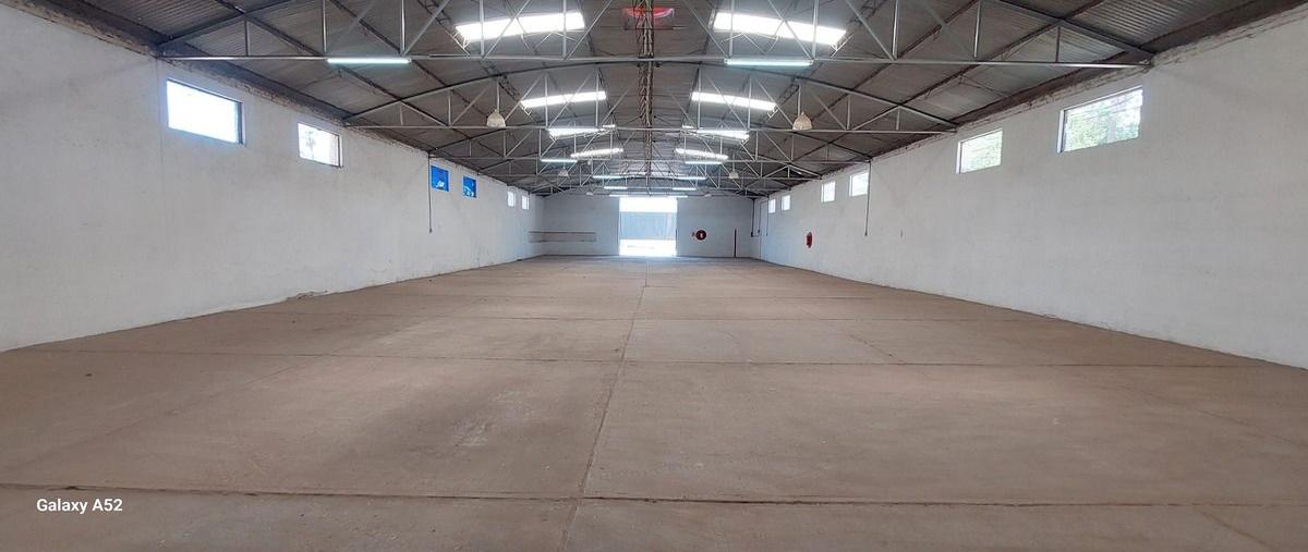 Foto de bodega en renta en cuarta brigada , cuarta brigada, irapuato, guanajuato, 28208367 No. 05