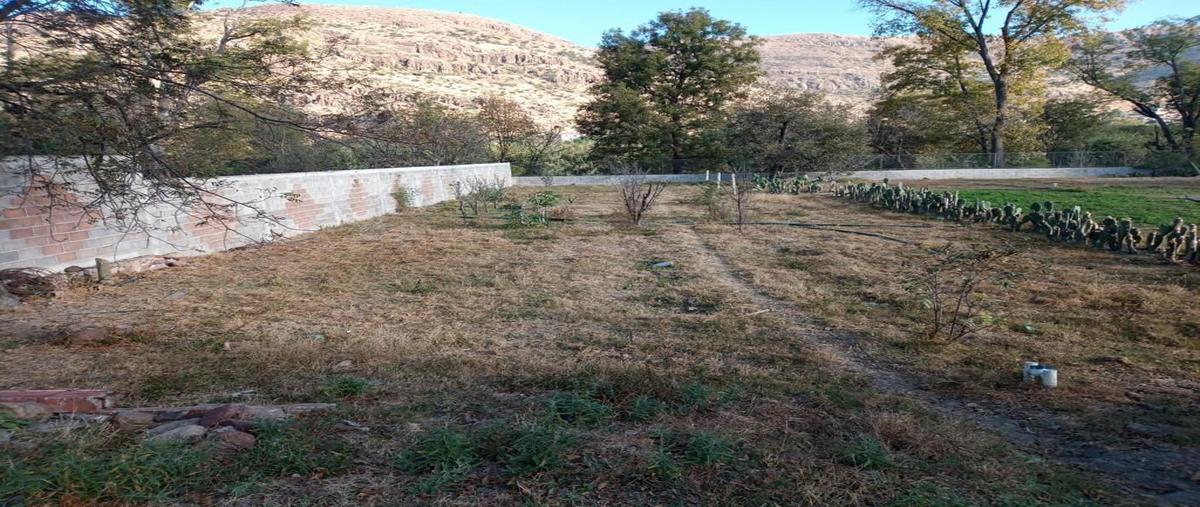 Foto de terreno habitacional en venta en  , cuartel once, santa maría del río, san luis potosí, 28306162 No. 05