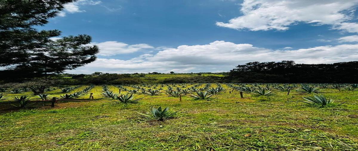 Foto de casa en venta en cuartel quinto tenencia de san francisco , tlalpujahua de rayón, tlalpujahua, michoacán de ocampo, 0 No. 04