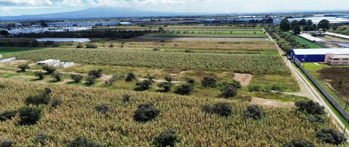 Foto de terreno habitacional en venta en  , cuarto, huejotzingo, puebla, 0 No. 04