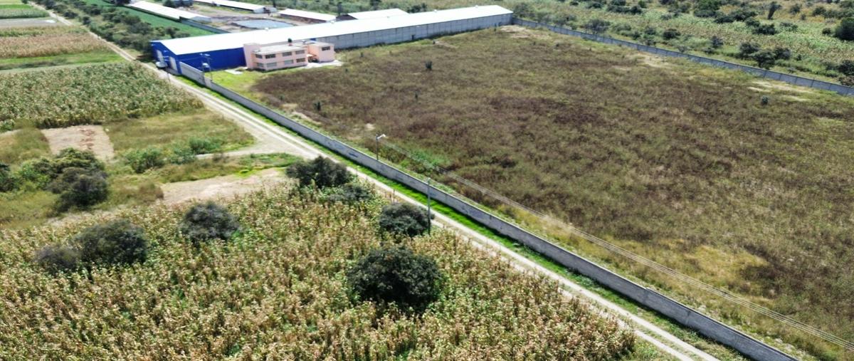 Foto de terreno habitacional en venta en  , cuarto, huejotzingo, puebla, 0 No. 05
