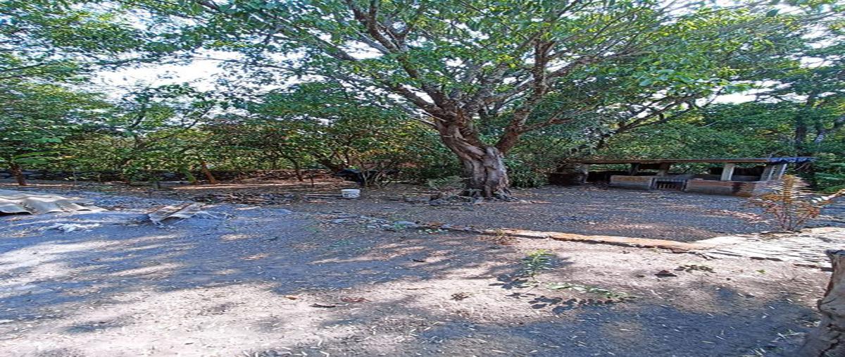 Foto de terreno habitacional en venta en cuauhtemoc 1187m2 , cofradía de suchitlán, comala, colima, 0 No. 01