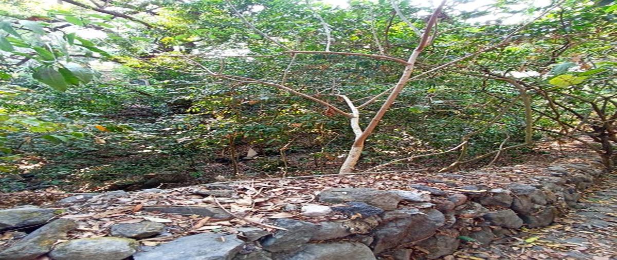 Foto de terreno habitacional en venta en cuauhtemoc 1187m2 , cofradía de suchitlán, comala, colima, 26614949 No. 03