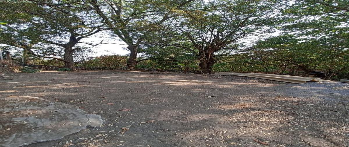 Foto de terreno habitacional en venta en cuauhtemoc 1187m2 , cofradía de suchitlán, comala, colima, 26614949 No. 04