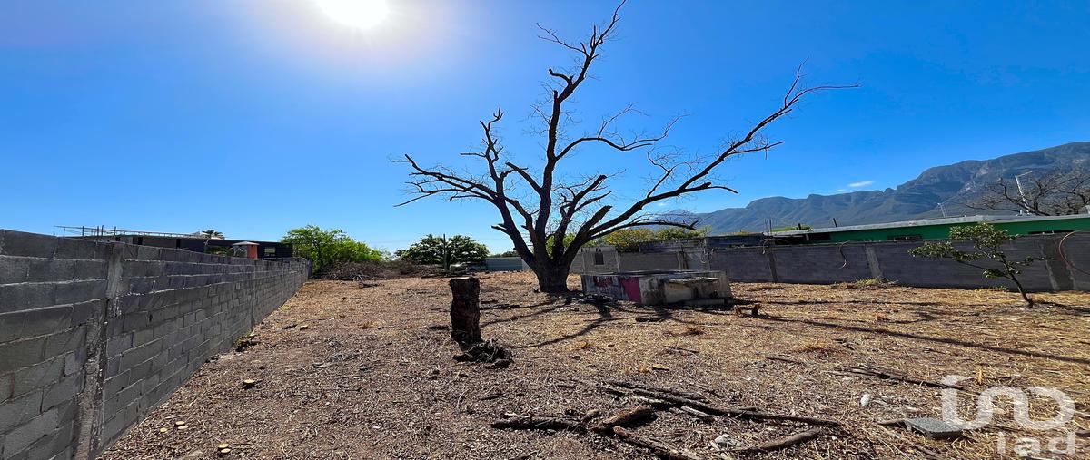 Foto de terreno comercial en renta en cuauhtemoc 120, hidalgo centro, hidalgo, nuevo león, 30226294 No. 04