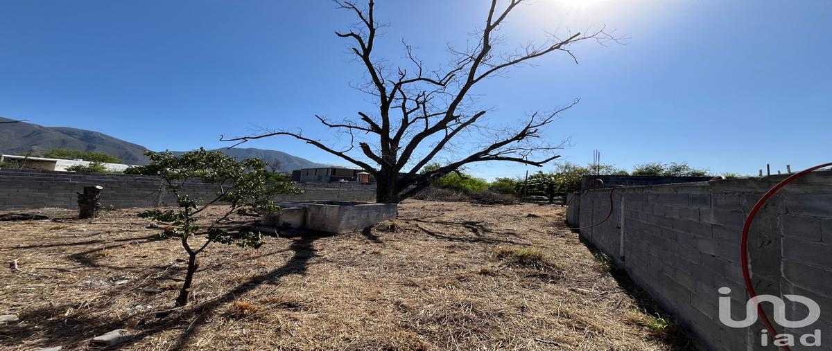 Foto de terreno comercial en renta en cuauhtemoc 120, hidalgo centro, hidalgo, nuevo león, 30226294 No. 05